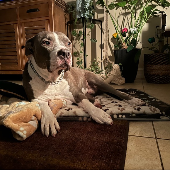 SALE - RAISING MONEY FOR CANCER TREATMENT! - Picture 4 of 12